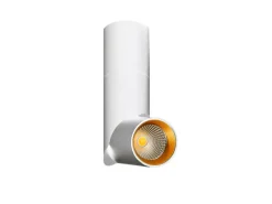 Sklep Kaja Biało-złota, długa, regulowana tuba natynkowa AZ2417 SANTOS | Kaja