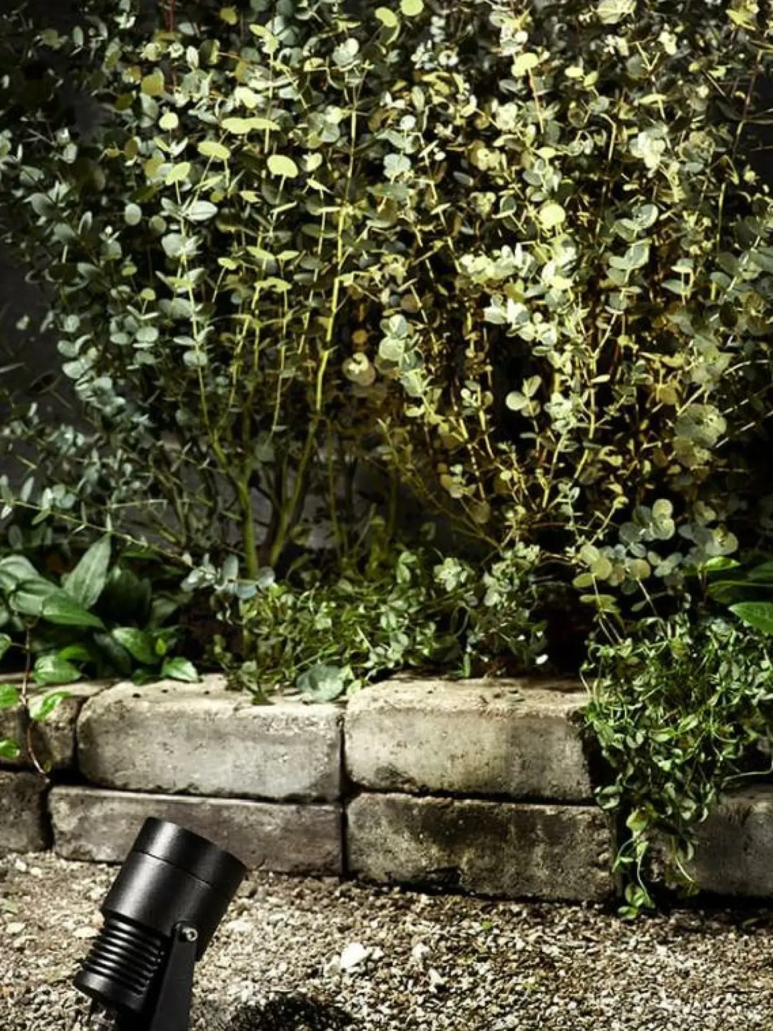 Sklep Kaja Czarny reflektor mocowany w ziemi o mocy 3W GARDEN24 106929