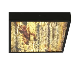 Sklep Kaja Dekoracyjny plafon ze światłem LED 4000K 10-06684 z serii LUXAN | Kaja