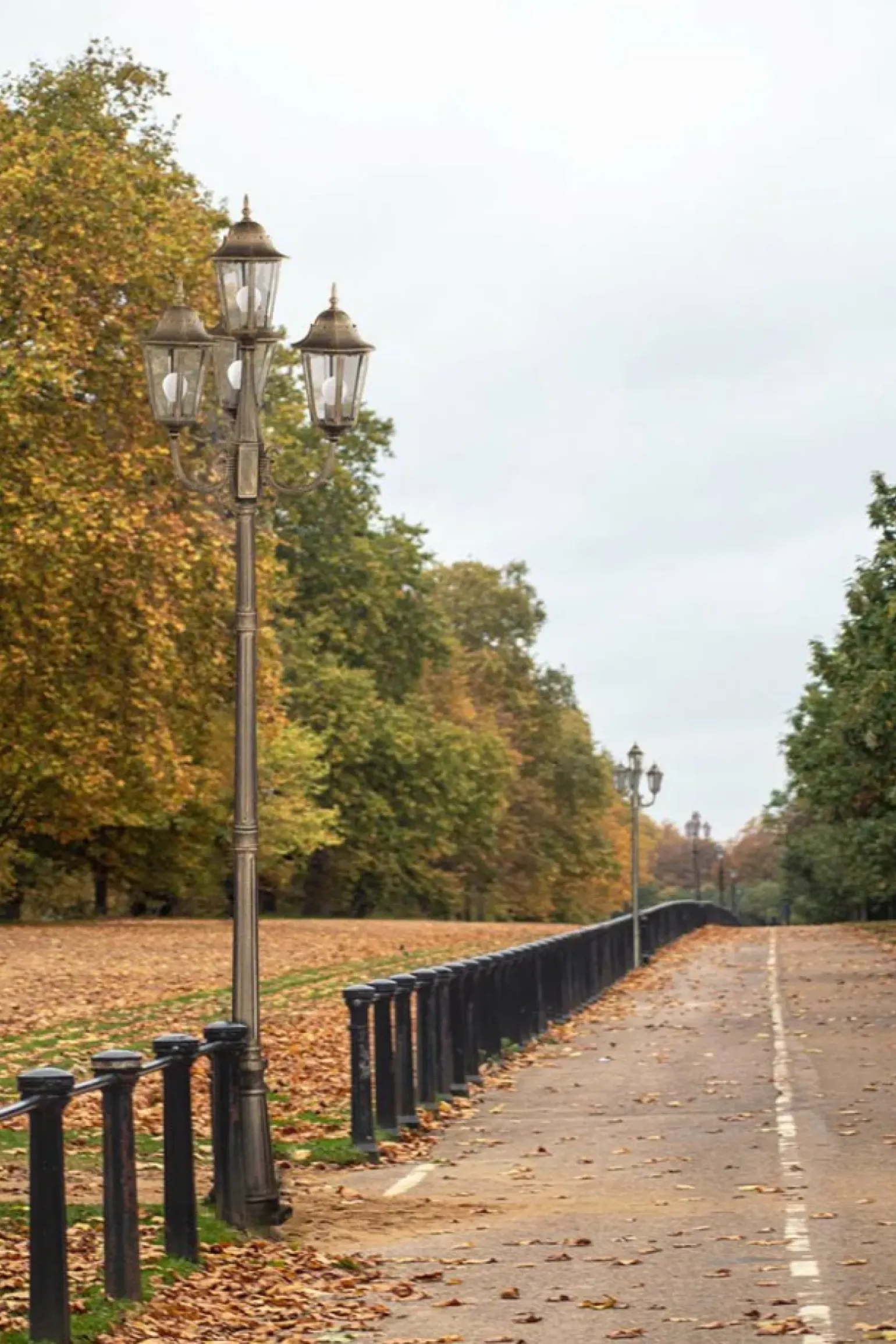 Sklep Kaja Elegancka latarnia K-7006A2/4 CZARNY/ZŁOTY LOZANA | Kaja Oświetlenie