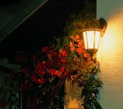 Sklep Kaja Kinkiet ścienny skierowany w górę K 3012/1/D g z serii RETRO CLASSIC | Kaja Oświ