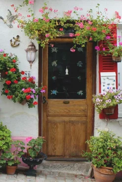 Sklep Kaja Kinkiet zewnętrzny K-5007A/N DOWN CZARNY/ZŁOTY VASCO | Kaja