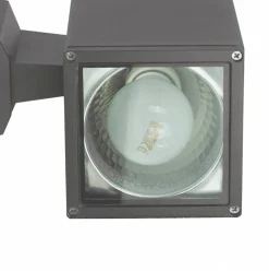 Sklep Kaja Kinkiet zewnętrzny, kolor czarny popiel 8001 DG z serii ADELA | Kaja Oświetlenie