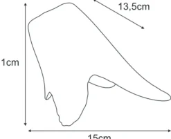 Sklep Kaja Klosz K-HP-ardea