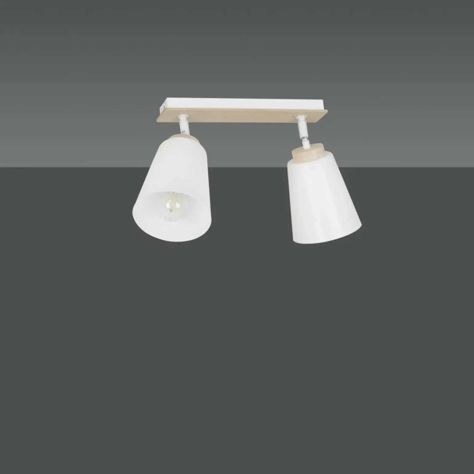 Online Listwa z dwoma źródłami światła na duży gwint 724/2 | Kaja Oświetlenie Żyrandole Nowoczesne