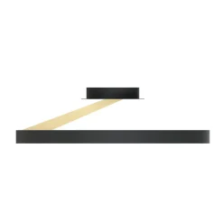 Sklep Kaja Minimalistyczny plafon na bazie okręgu MX3689-1L-3BGT MALU | Kaja