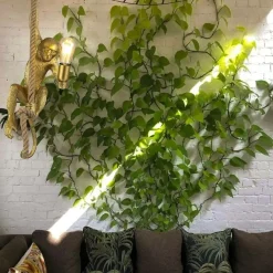 Best Nietuzinkowa, złota lampa wisząca małpa ABR-KAR-G MONKEY | Kaja Żyrandole Nowoczesne