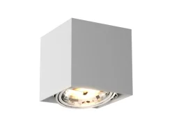 Sklep Kaja Oprawa natynkowa z ruchomym oczkiem 89947-G9 BOX SL1 | Kaja