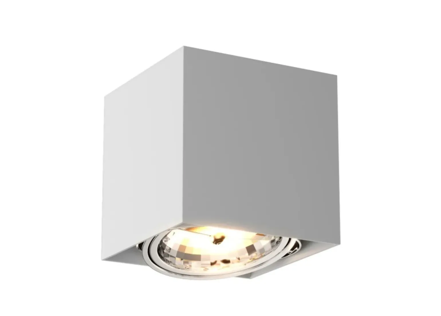 Sklep Kaja Oprawa natynkowa z ruchomym oczkiem 89947-G9 BOX SL1 | Kaja