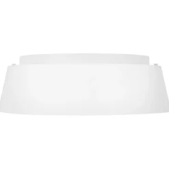 Sklep Kaja Plafon w kolorze matowej bieli FE-ASHER-3F-WHT z serii ASHER