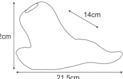 Sklep Kaja Przezroczysty, szklany klosz K-HP-PS-210 KLOSZ