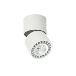 Sklep Kaja Regulowany, biały spot natynkowy CLN-97018-12W-L-3K z serii HERIOS