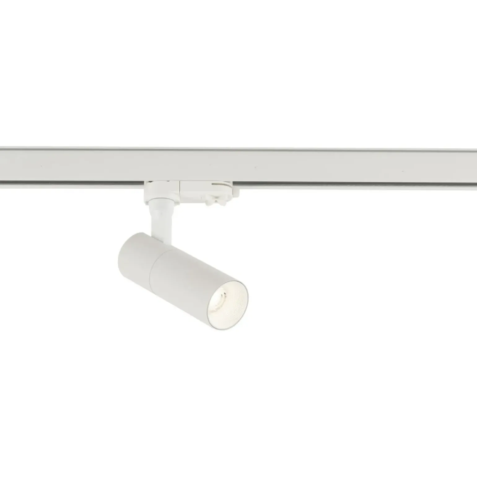 Sklep Kaja Ruchomy spot do szyny trójfazowej 10393 CTLS TINOS LED | Kaja