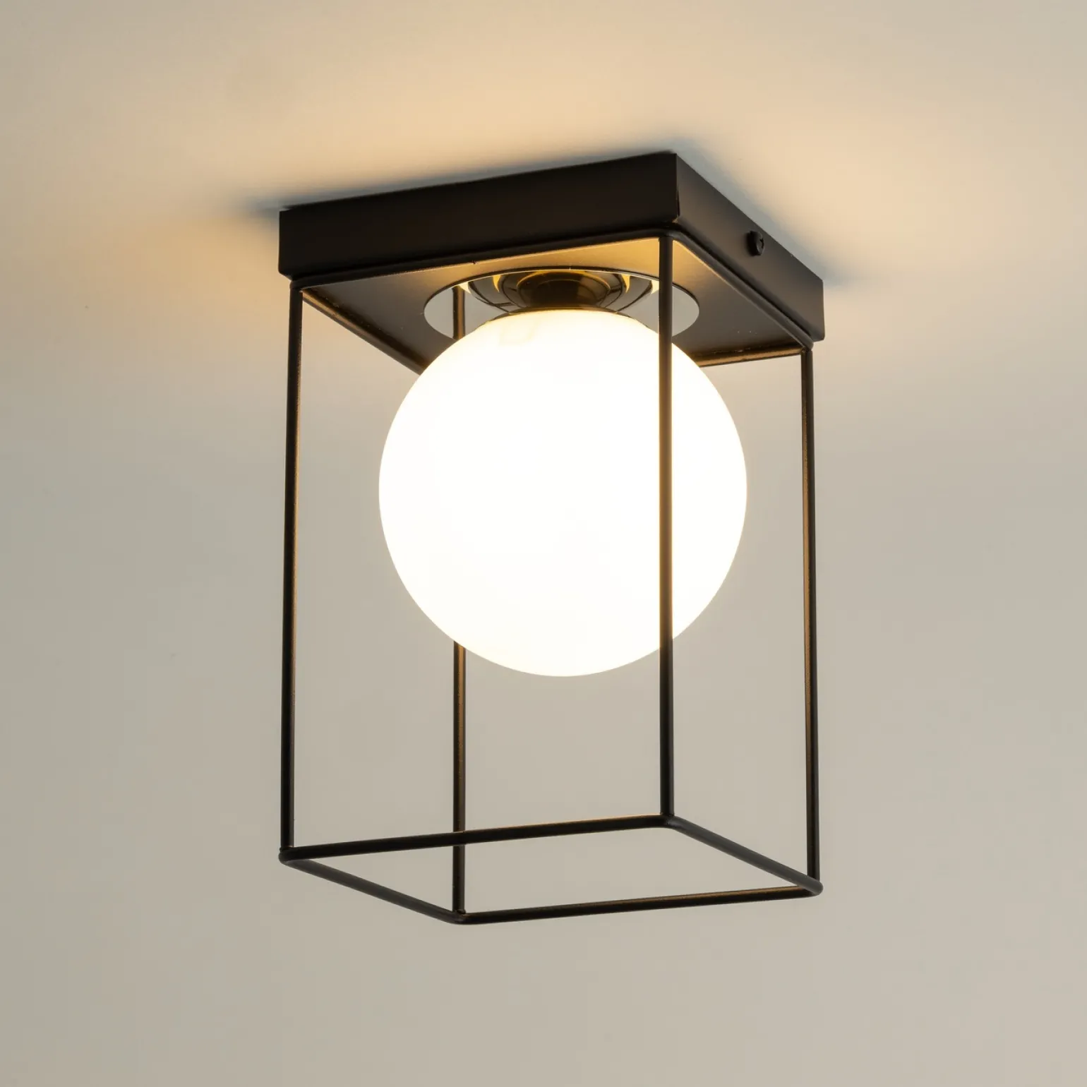 Sklep Kaja Spot natynkowy, druciany box z kloszem SIG 40706 AROMA | Kaja