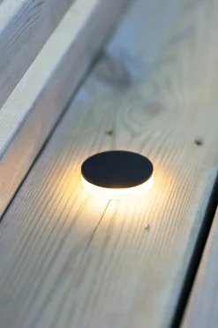 Sklep Kaja Spot wpustowy, mocowany w ziemi, 45mm, moc 3W 106934 z serii GARDEN24