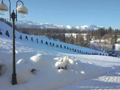 Sklep Kaja Wysoka zewnętrzna dwuramienna latarnia K-8132 CZ BOSTON | Kaja