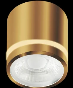 Sklep Kaja Złota, punktowa oprawa natynkowa do łazienki AZ6041 VICI | Kaja